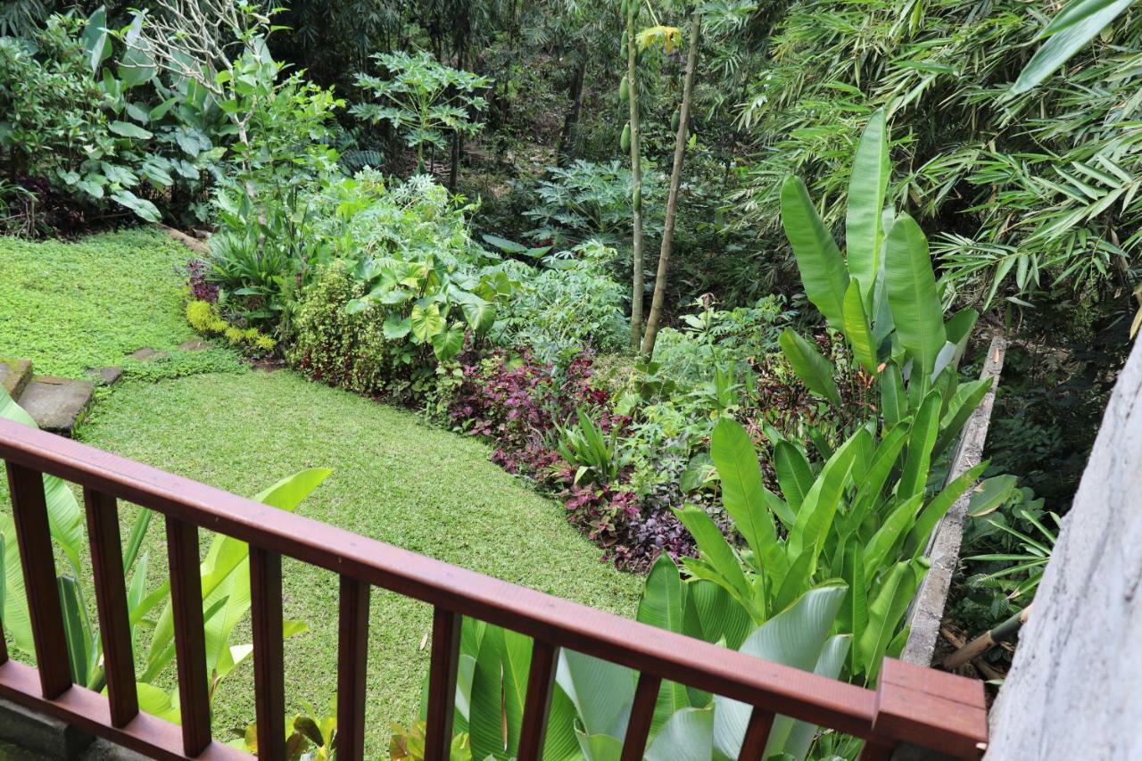 Guest house Kinari *